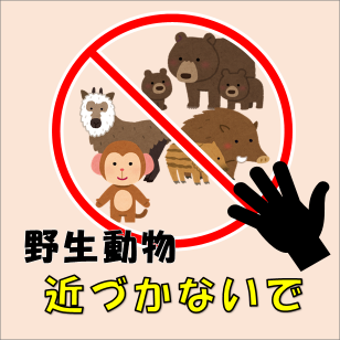 野生動物近づかないで