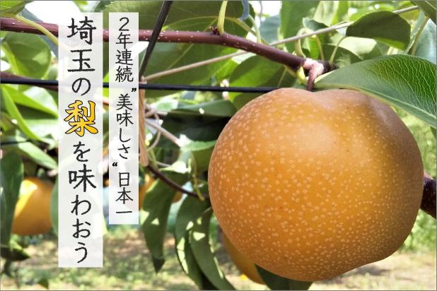 2年連続美味しさ日本一埼玉の梨を味わおう