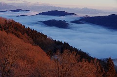 紅葉と雲海