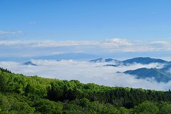 新緑と雲海