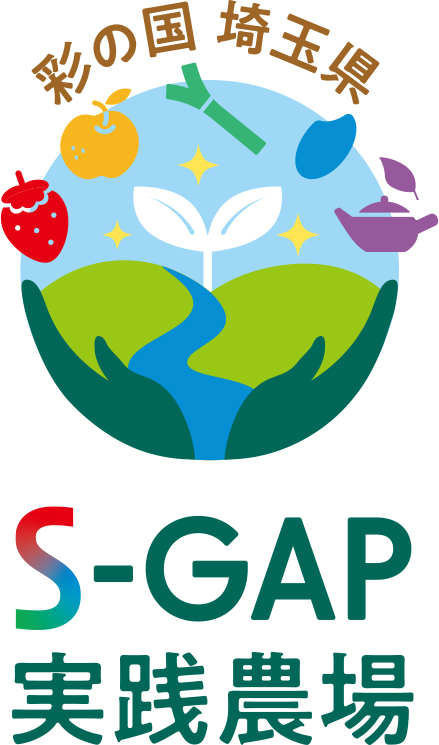 S-GAPロゴマーク