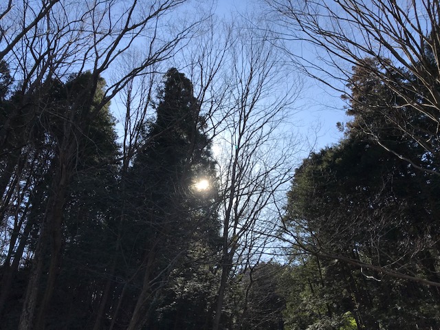 ときがわ町道元平県自然環境保全地域