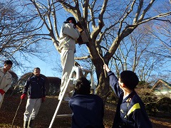 巣箱の中を協力して観察する様子