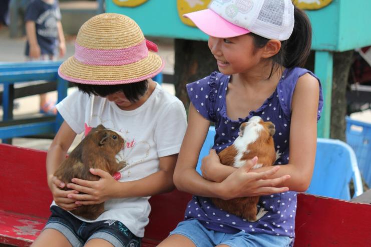 こども動物自然公園（ふれあい）