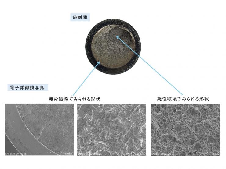 概略図