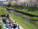 笹目川（さいたま市）