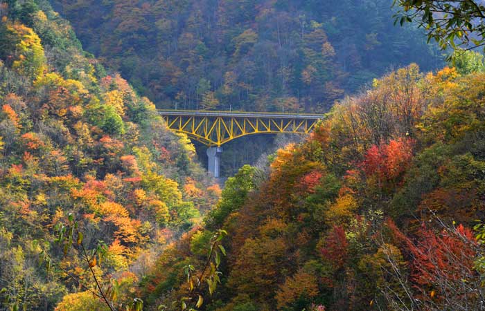 雁坂大橋