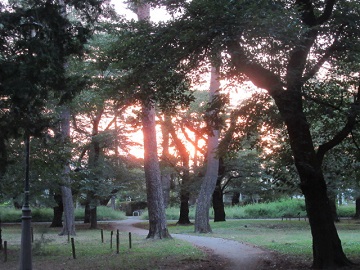 裁判所方面の夕日