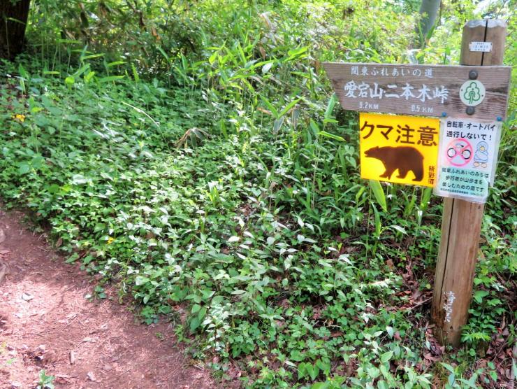 クマ注意の看板