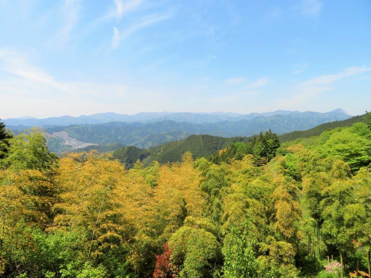 傘杉峠付近の関東平野の眺望
