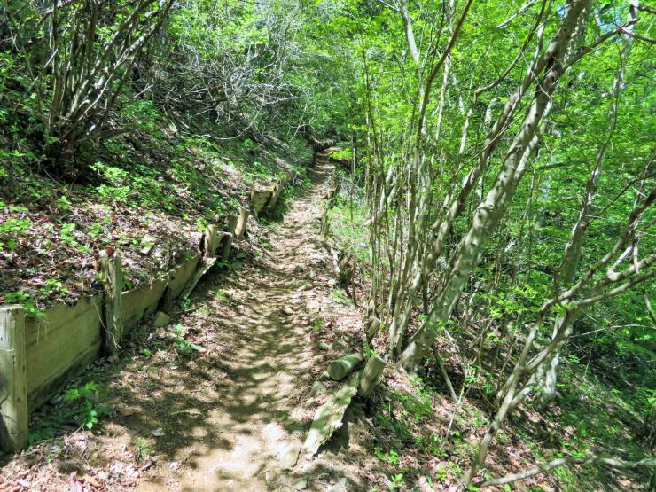 大霧山に登る道（首都圏自然歩道の歩道