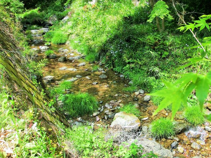 滝のあるみち（山道）