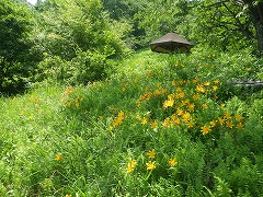 四阿と花畑