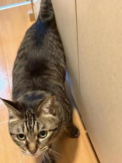 kizi2