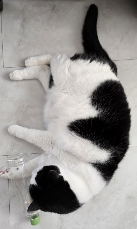 se2