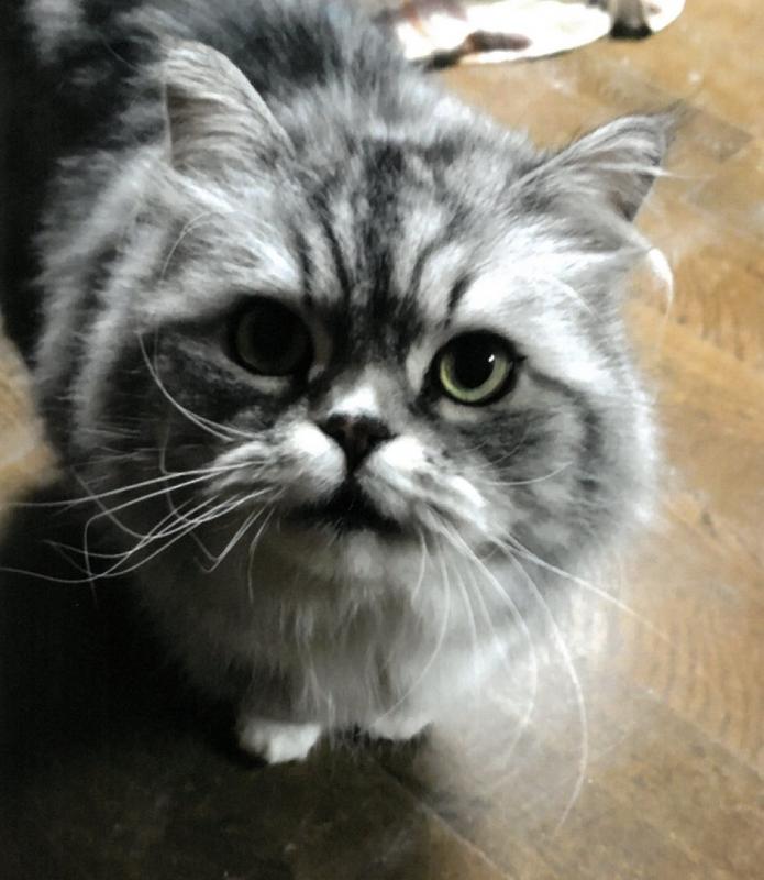 suko1