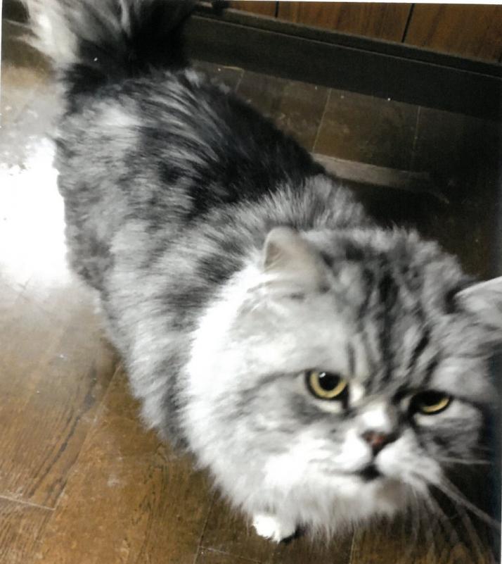suko2