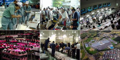 市場の様子