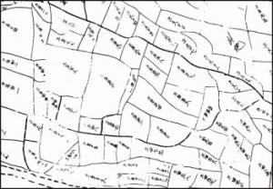 精度の低い字限図(あざぎりず)