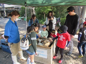 移動動物園