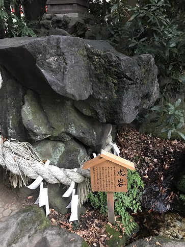 川越氷川神社にある戌岩。犬に似ている