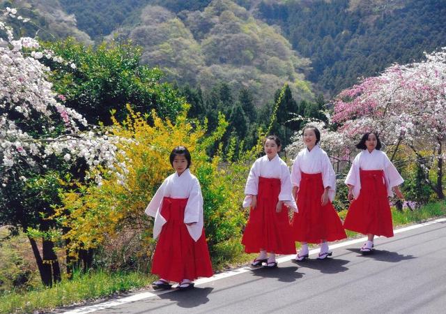 山里の春