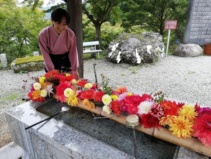 小鹿神社ダリア手水