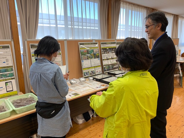 展示