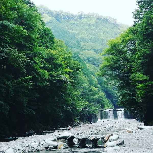 中津川渓流釣場渓谷