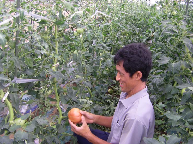 作業をする石田裕也さん