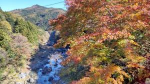 三波石峡の紅葉