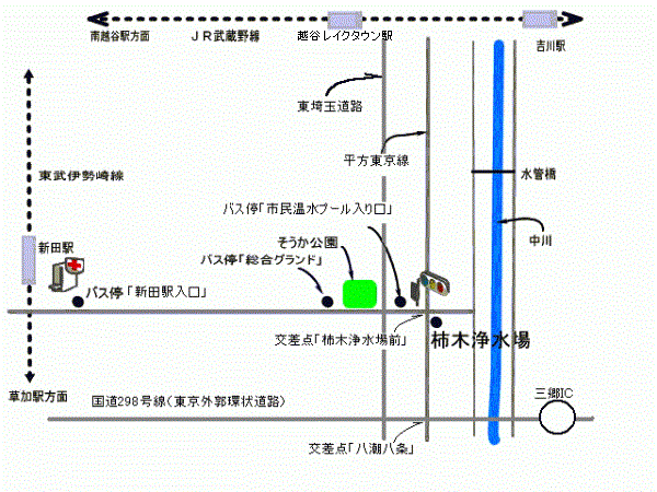 kakinokiannaizu