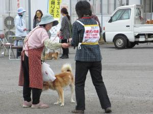 狂犬病予防注射会場における活動の様子2