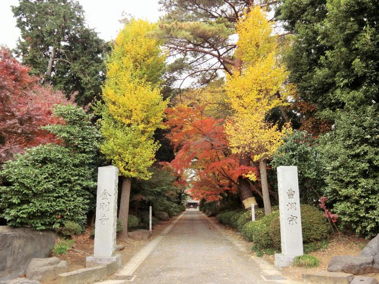 参道の紅葉