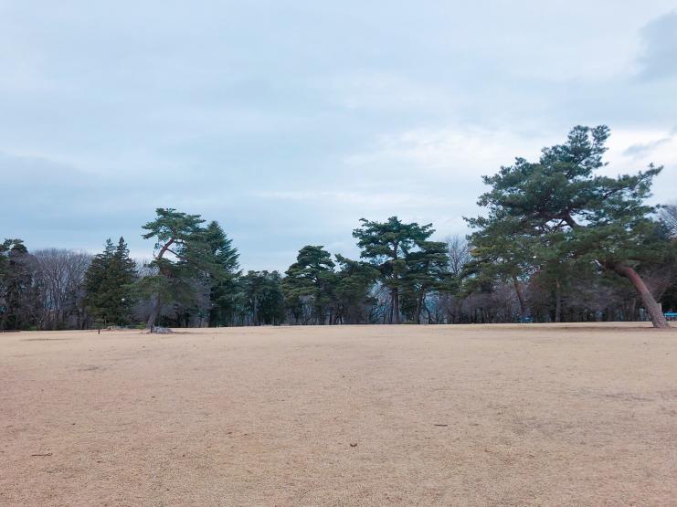 狭山稲荷山公園広場2