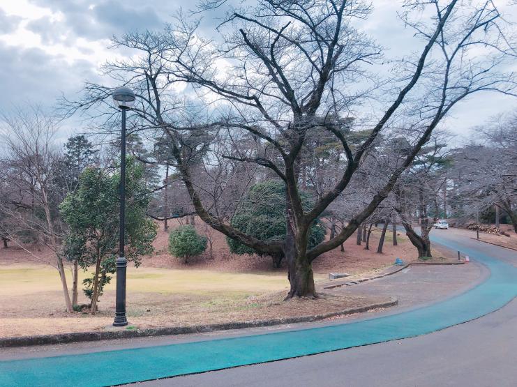 狭山稲荷山公園ランニングコース2