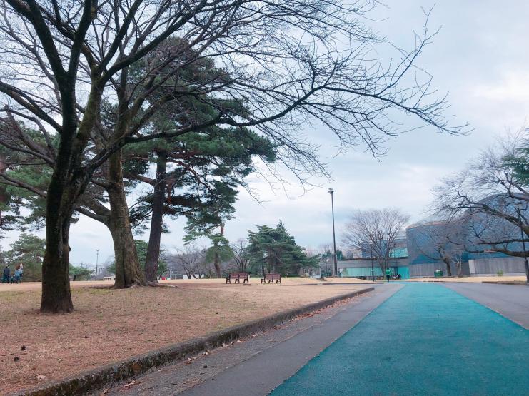 狭山稲荷山公園ランニングコース3