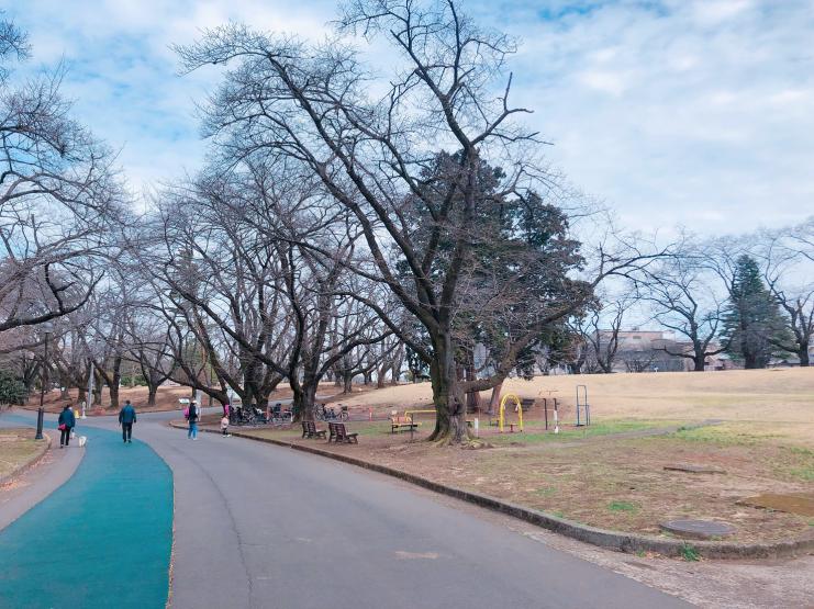 狭山稲荷山公園遊具