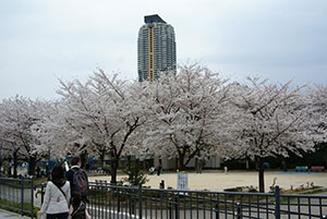 芝川公園