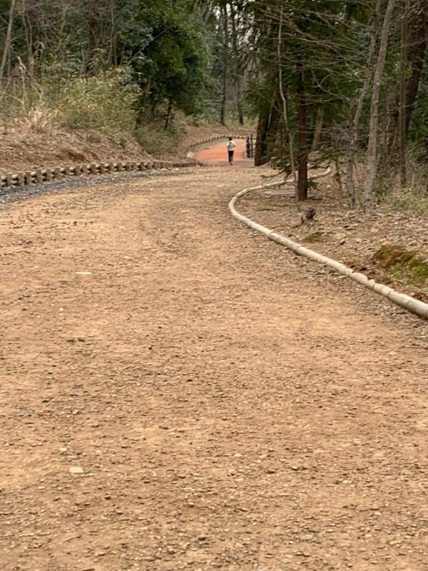 こども動物自然公園ランニングコース2