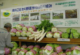 写真6直売所に、堆肥を利用して栽培した野菜は、こだわり野菜コーナー