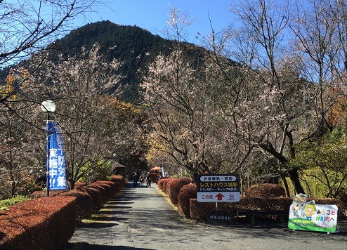 城峯公園