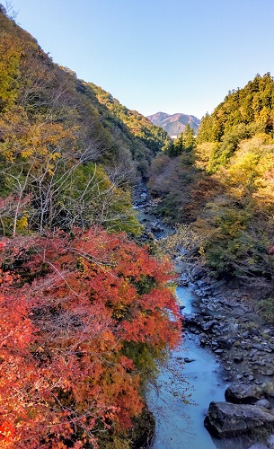 三波縦