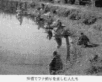 フナ釣りを楽しむ人たちの写真