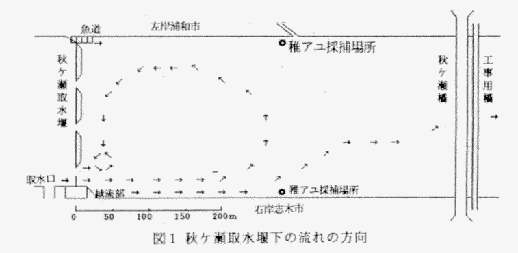 秋ヶ瀬取水堰下における水の流れる方向の図