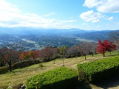 山頂展望台からの秩父盆地の眺め