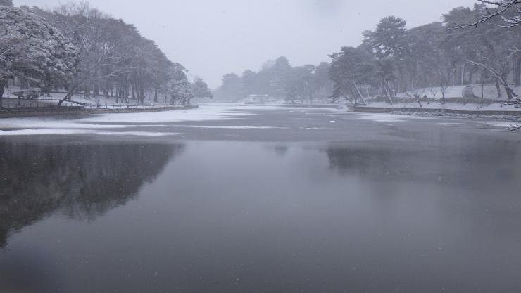 雪かいぼり