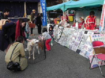 救助県犬協会