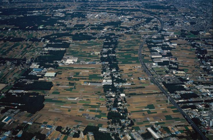 埼玉県指定旧跡「三富新田」