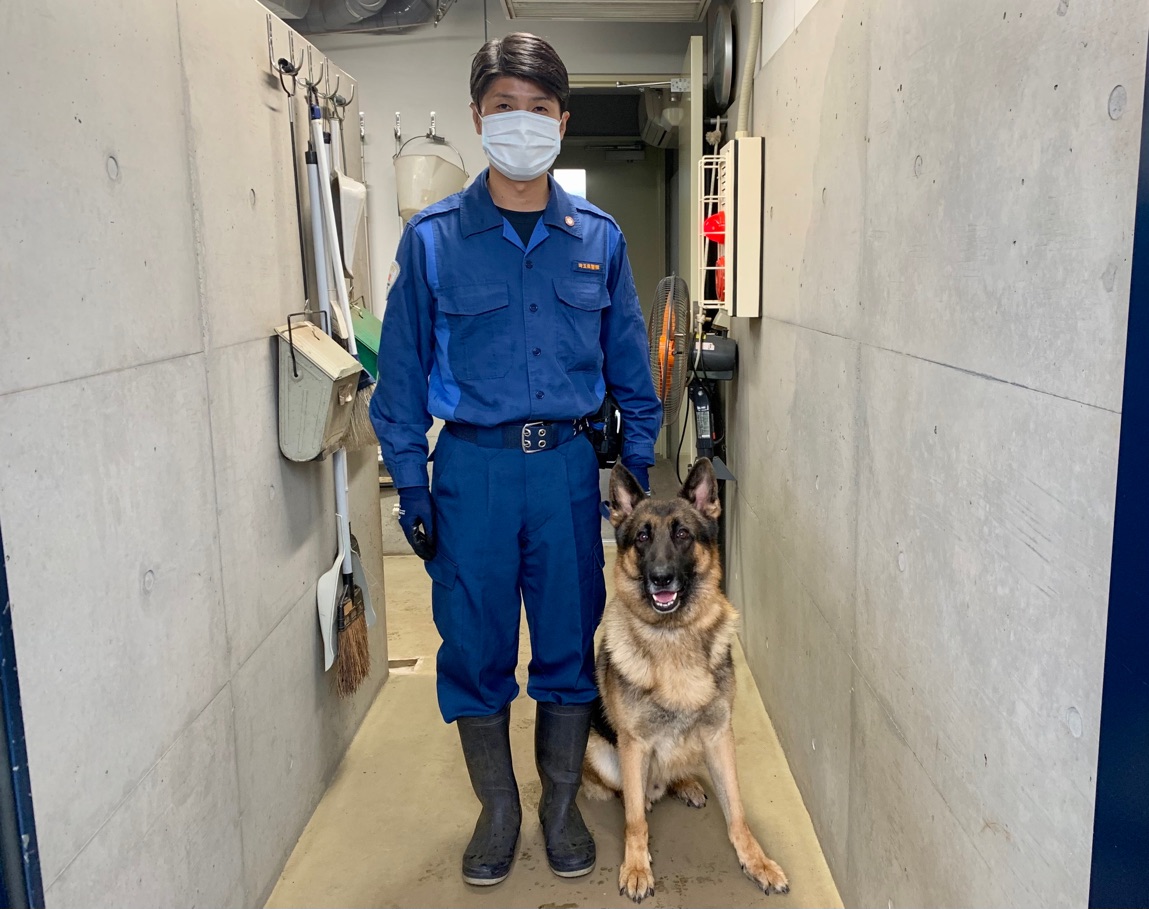 警察犬